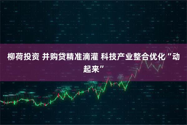 柳荷投资 并购贷精准滴灌 科技产业整合优化“动起来”