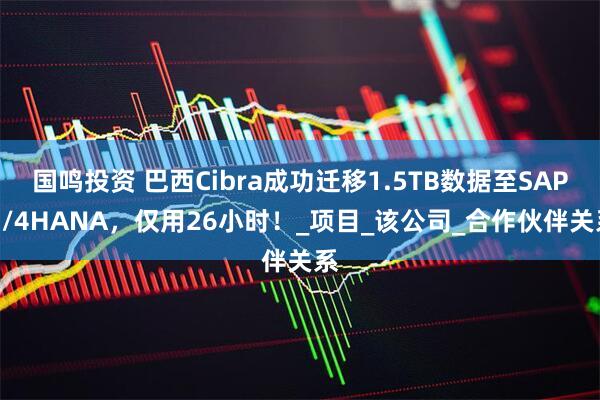 国鸣投资 巴西Cibra成功迁移1.5TB数据至SAP S/4HANA，仅用26小时！_项目_该公司_合作伙伴关系